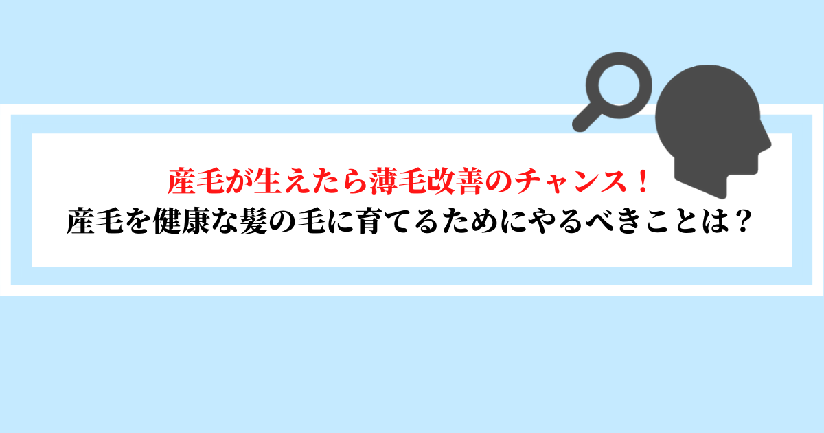 産毛が生えたら薄毛改善のチャンス 産毛を健康な髪の毛に育てるためにやるべきことは スーパースカルプ発毛センター吉祥寺駅前店