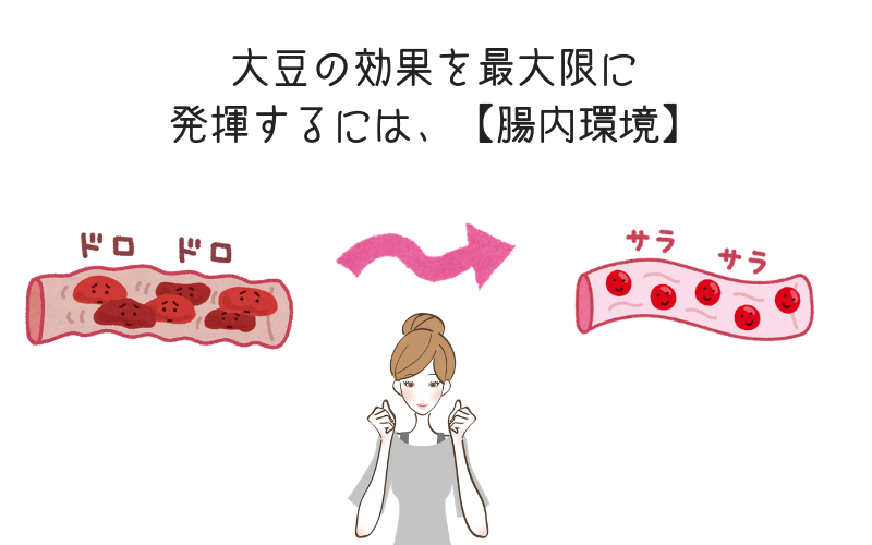 大豆の効果を最大限に発揮するには、【腸内環境】