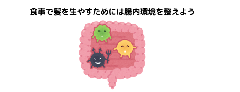 薄毛になる食事と育毛効果がある髪に良い食事 総編集 スーパースカルプ発毛センター吉祥寺駅前店