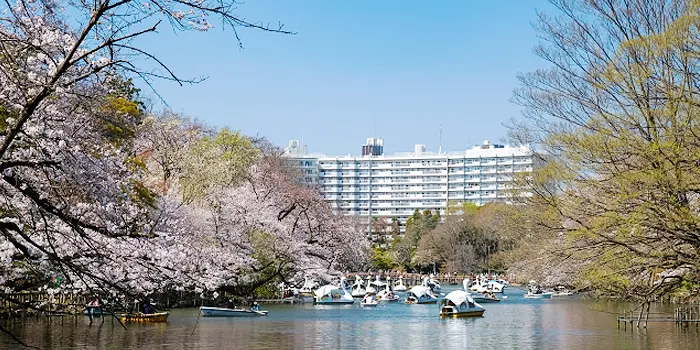 武蔵野市の風景